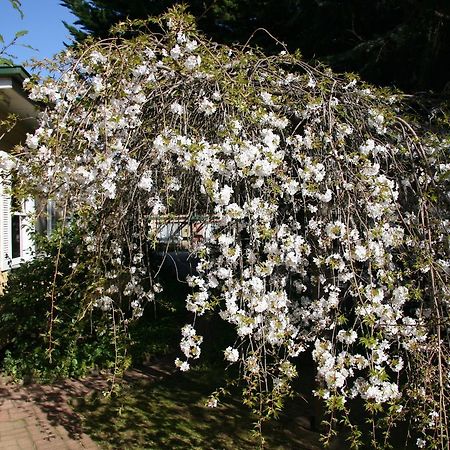 Вилла Carawatha Gardens Брайт Экстерьер фото
