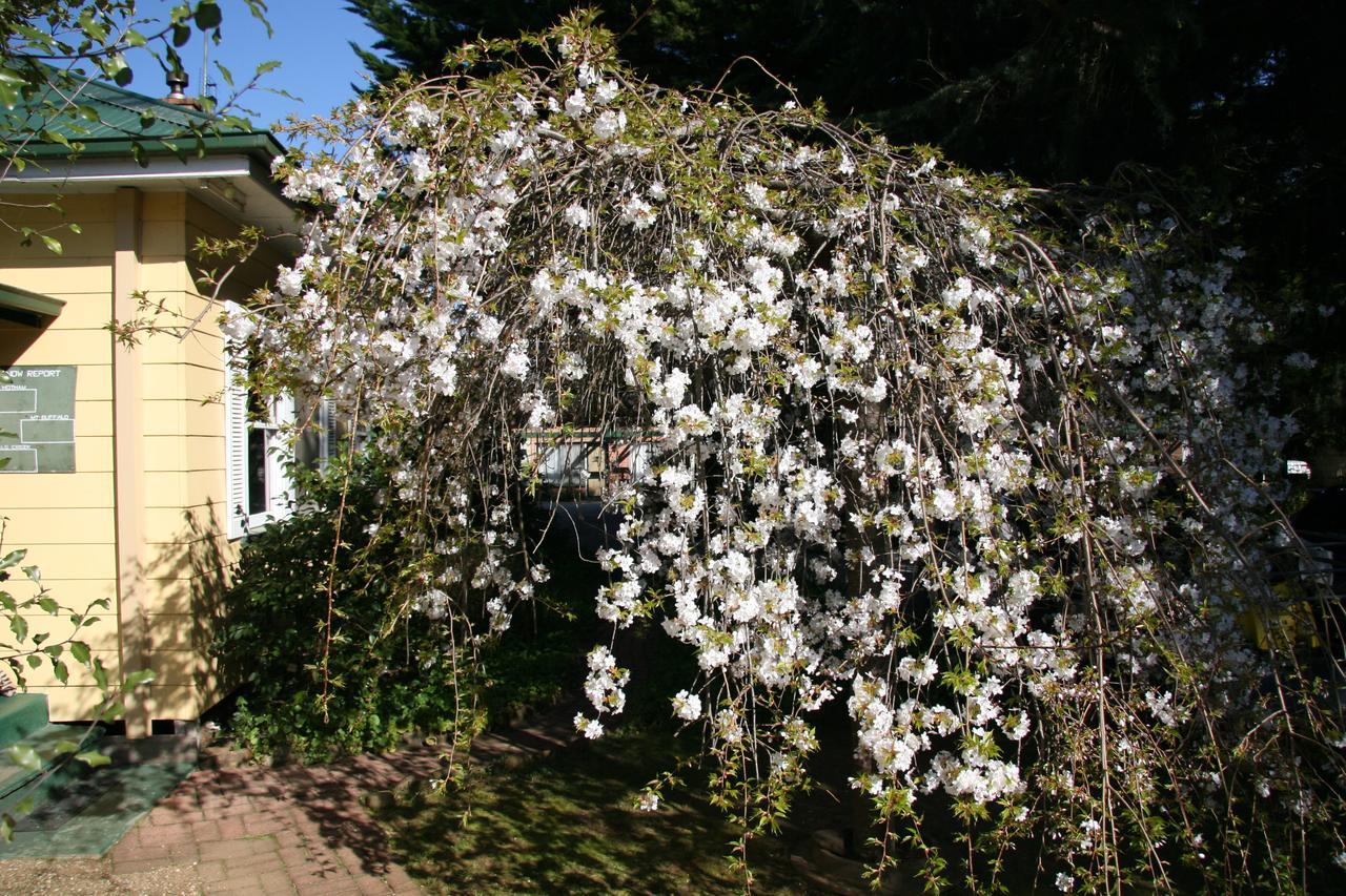 Вилла Carawatha Gardens Брайт Экстерьер фото